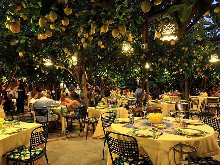 lemon tree restaurant