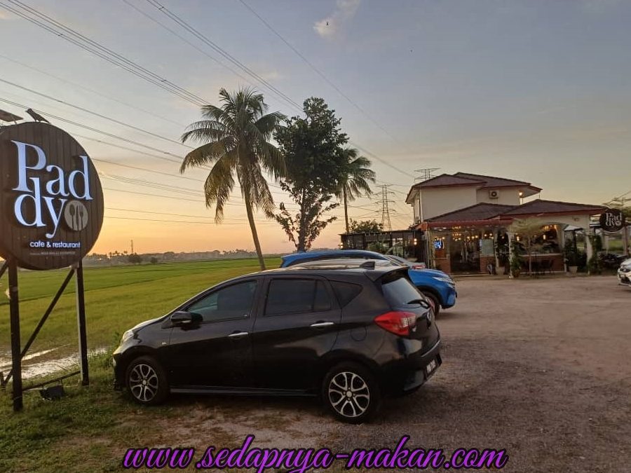 paddy cafe restaurant